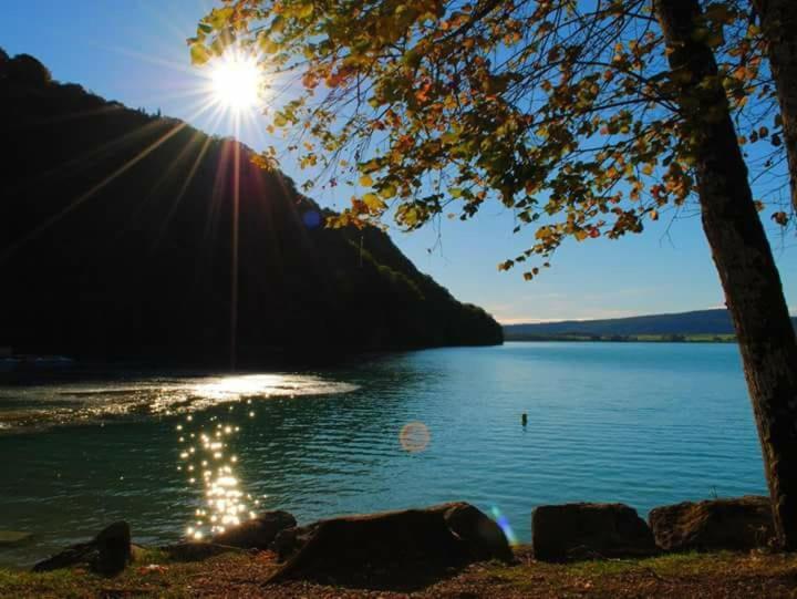 Maison/Gite Familial Dans Le Jura A 200M Du Lac Avec Piscine Privee Marigny  Kültér fotó
