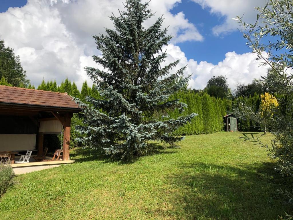 Maison/Gite Familial Dans Le Jura A 200M Du Lac Avec Piscine Privee Marigny  Kültér fotó