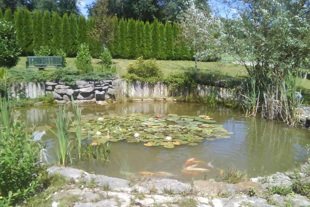 Maison/Gite Familial Dans Le Jura A 200M Du Lac Avec Piscine Privee Marigny  Kültér fotó