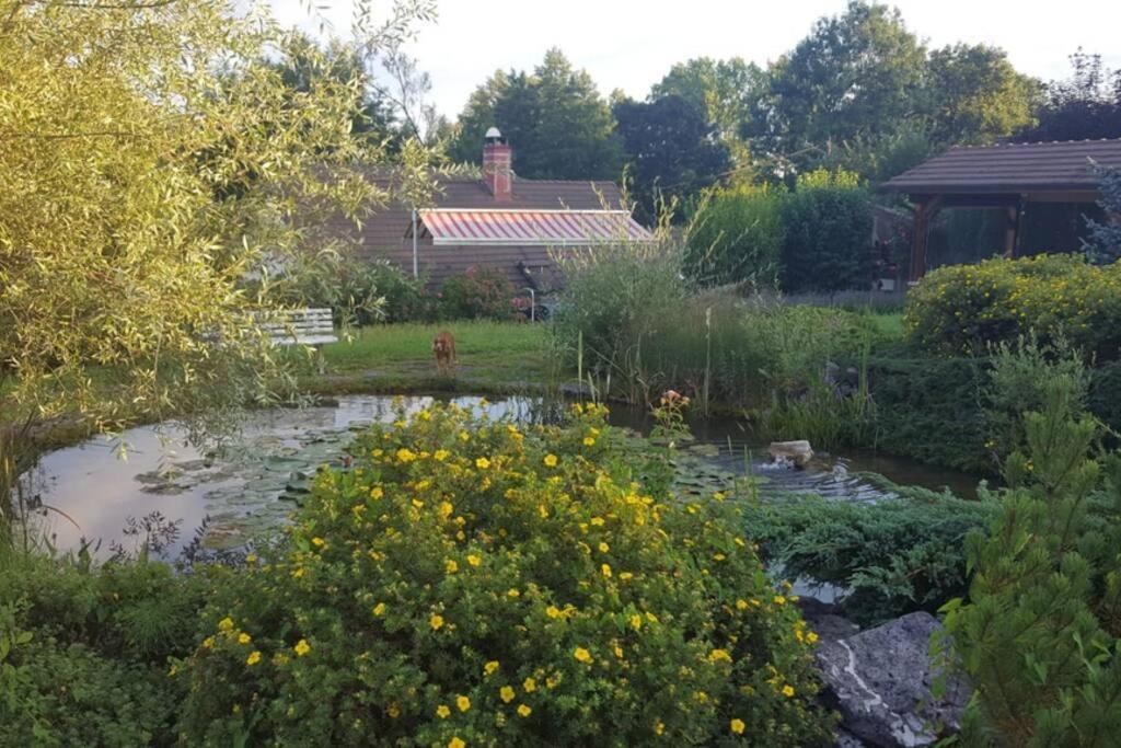 Maison/Gite Familial Dans Le Jura A 200M Du Lac Avec Piscine Privee Marigny  Kültér fotó