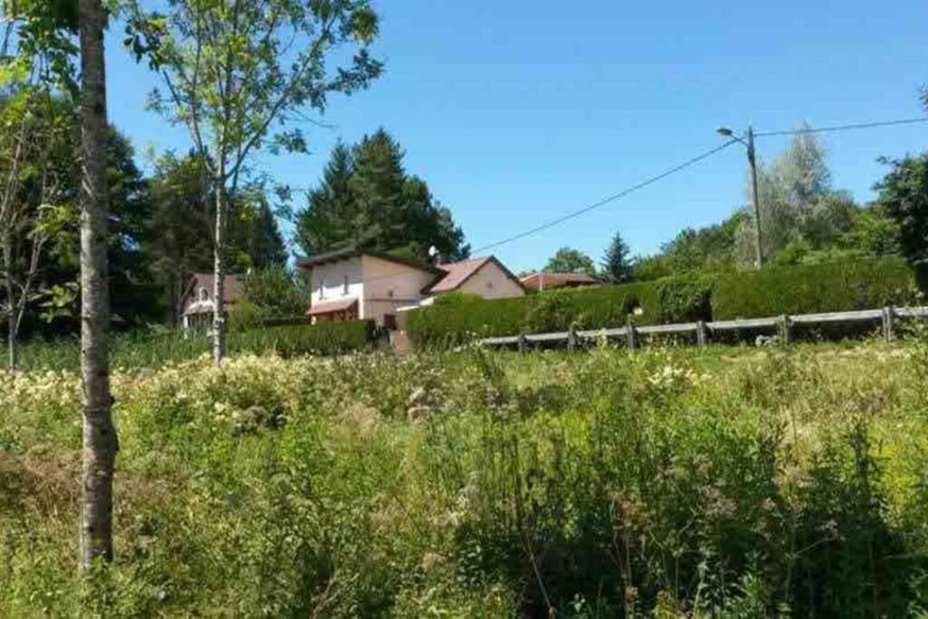Maison/Gite Familial Dans Le Jura A 200M Du Lac Avec Piscine Privee Marigny  Kültér fotó