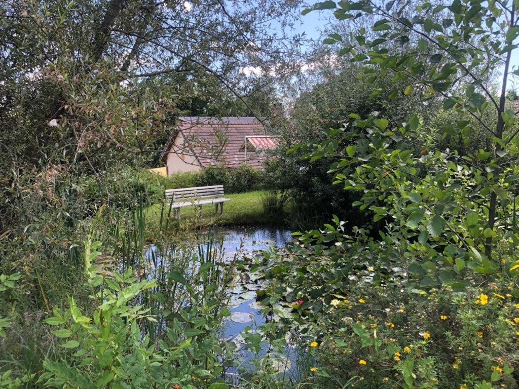 Maison/Gite Familial Dans Le Jura A 200M Du Lac Avec Piscine Privee Marigny  Kültér fotó